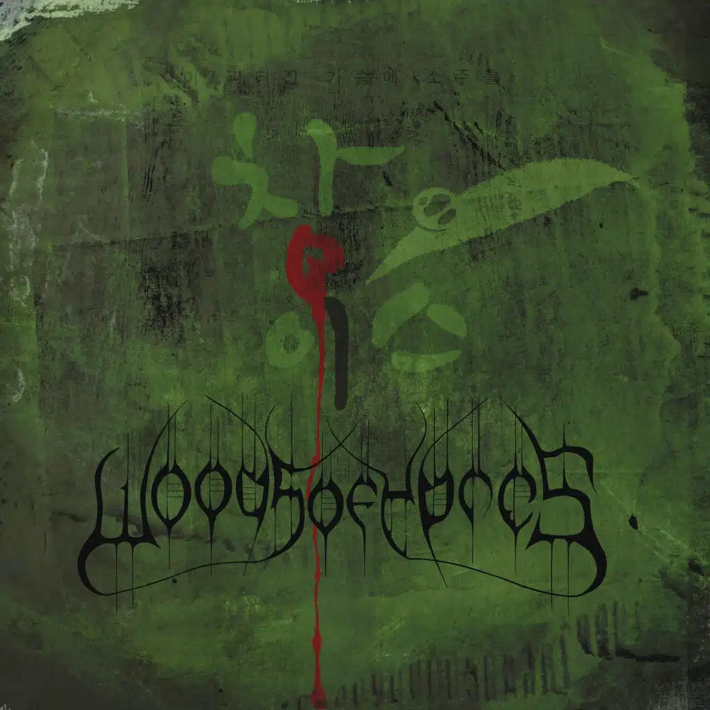 Mirror Reflection & The Hammer Reinvention