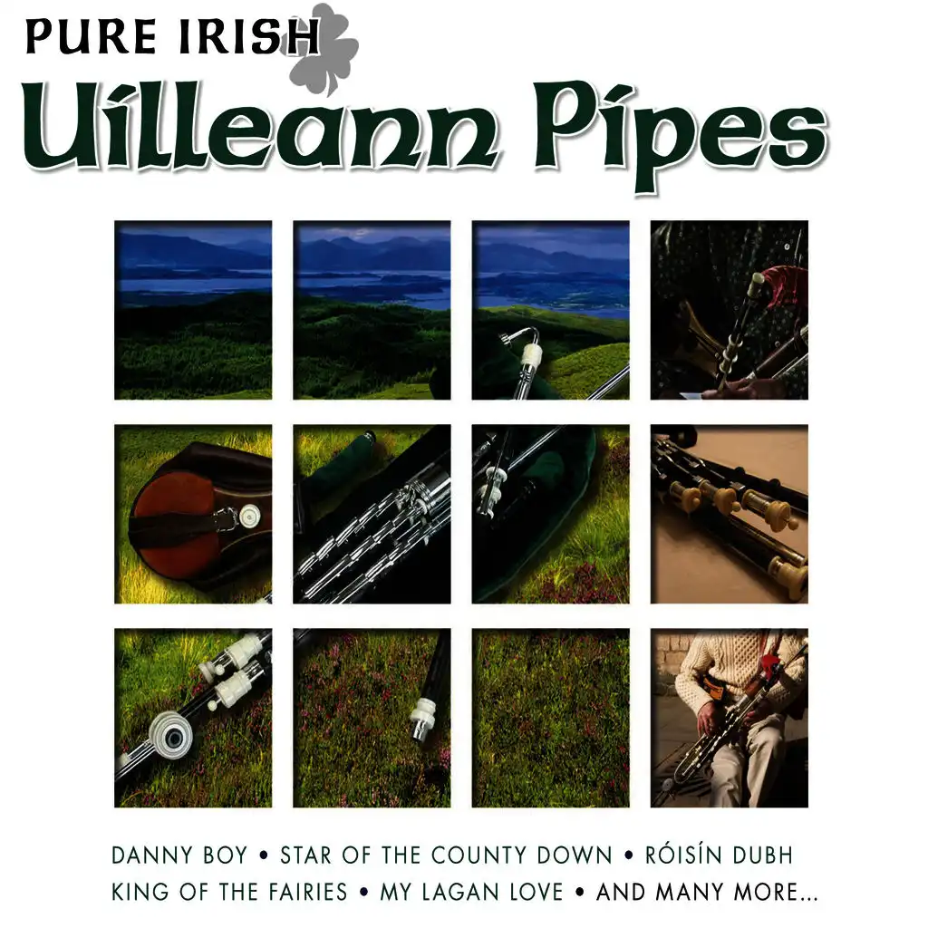 Pure Irish Uilleann Pipes