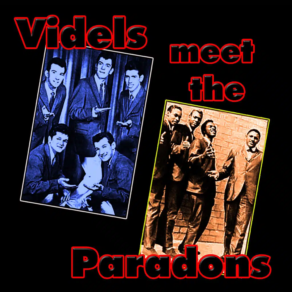 The Videls Meet The Paradons