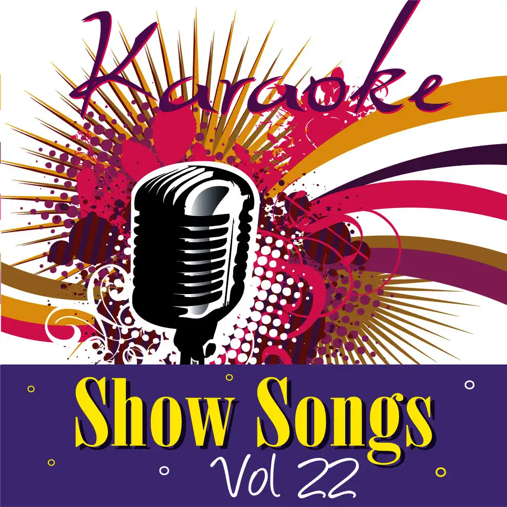 Karaoke - Show Songs Vol.22