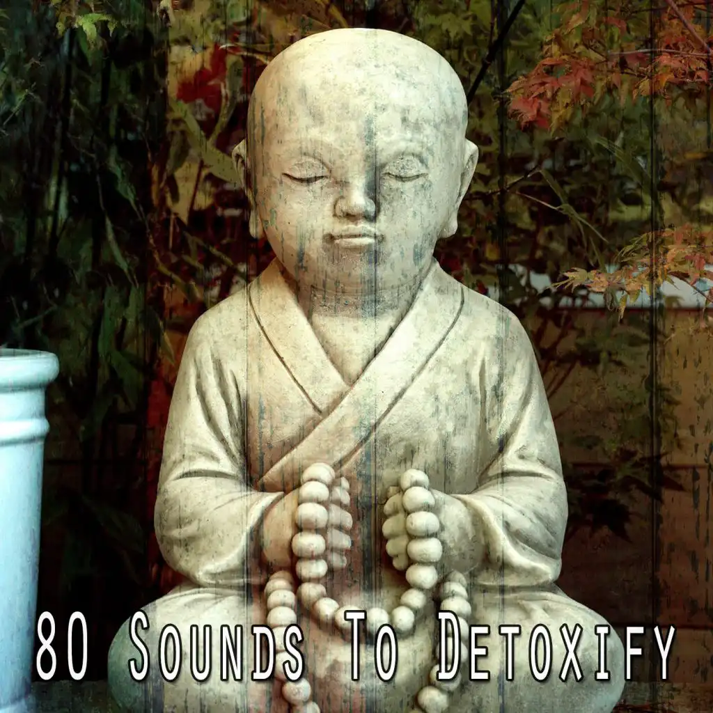 80 Sounds to Detoxify