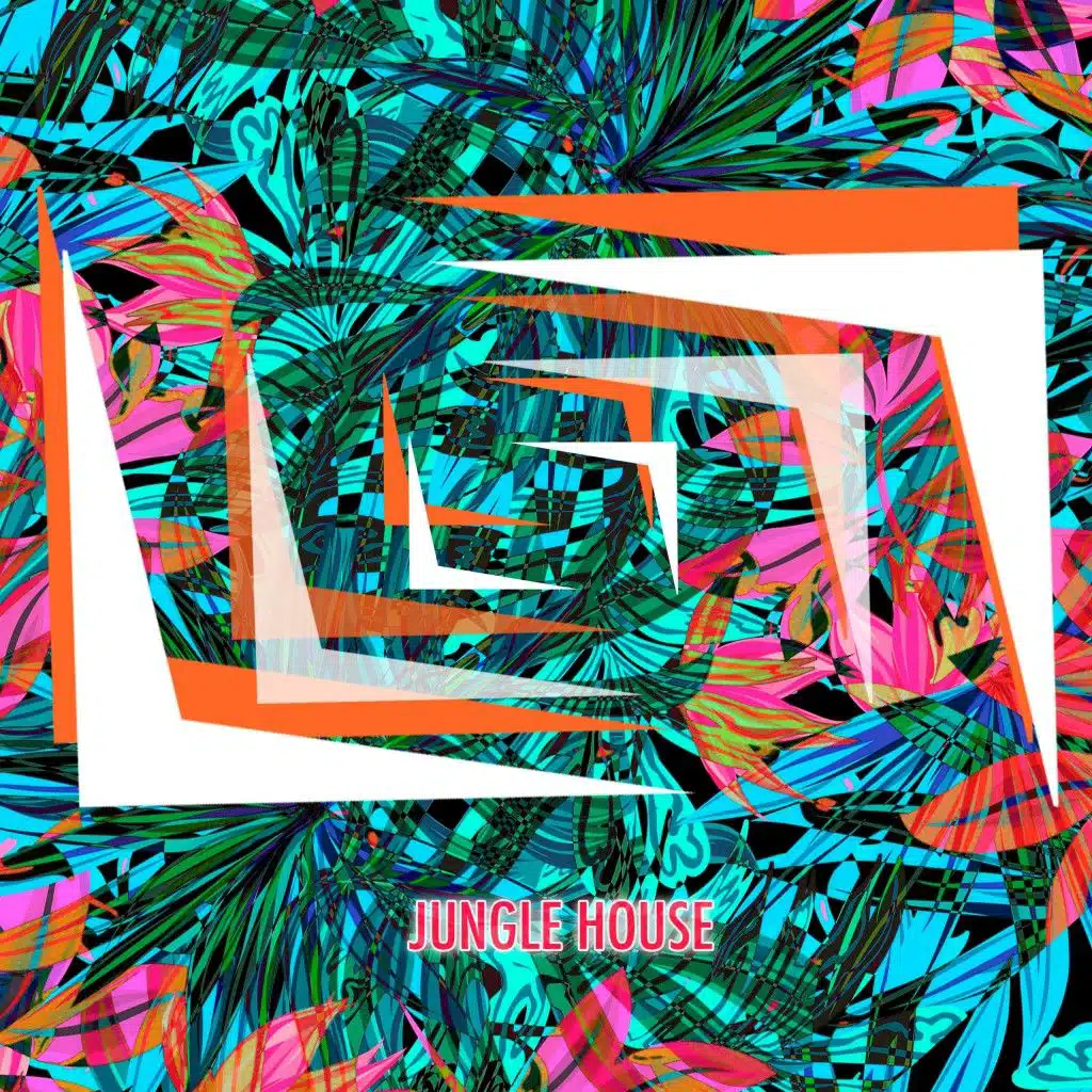 Shaker Tribe (Edit Mix)