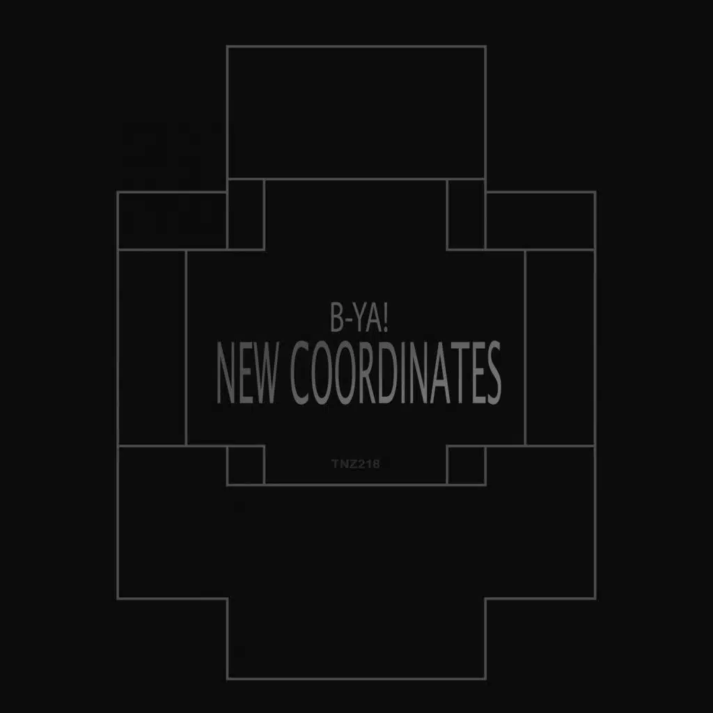 New Coordinates