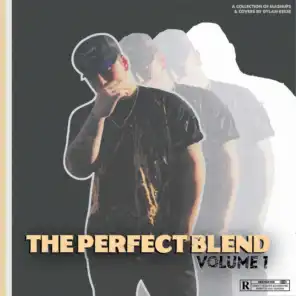 The Perfect Blend, Vol. 1