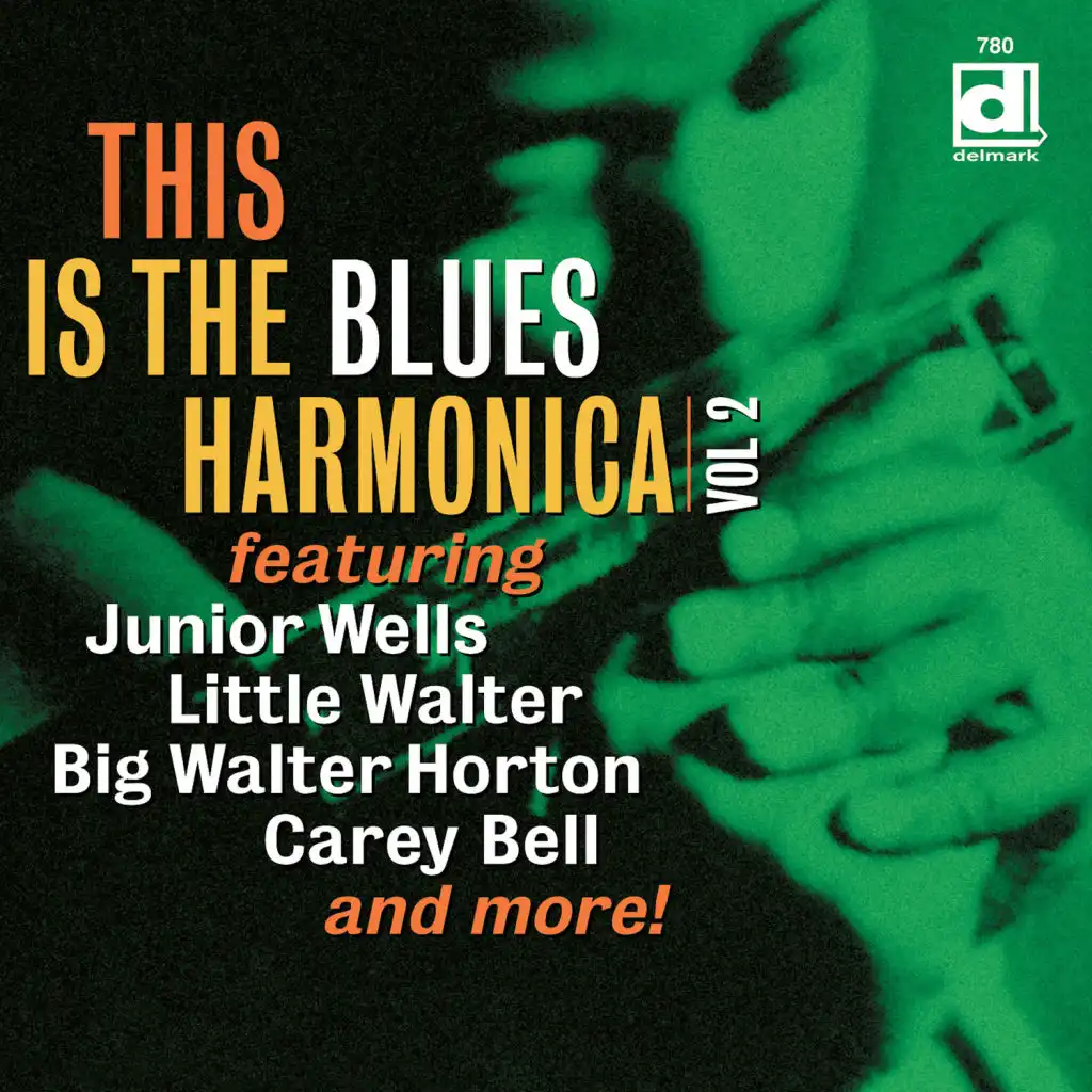 This is the Blues Harmonica Volume Two