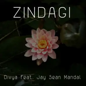 Zindagi (feat. Jay Sean Mandal)