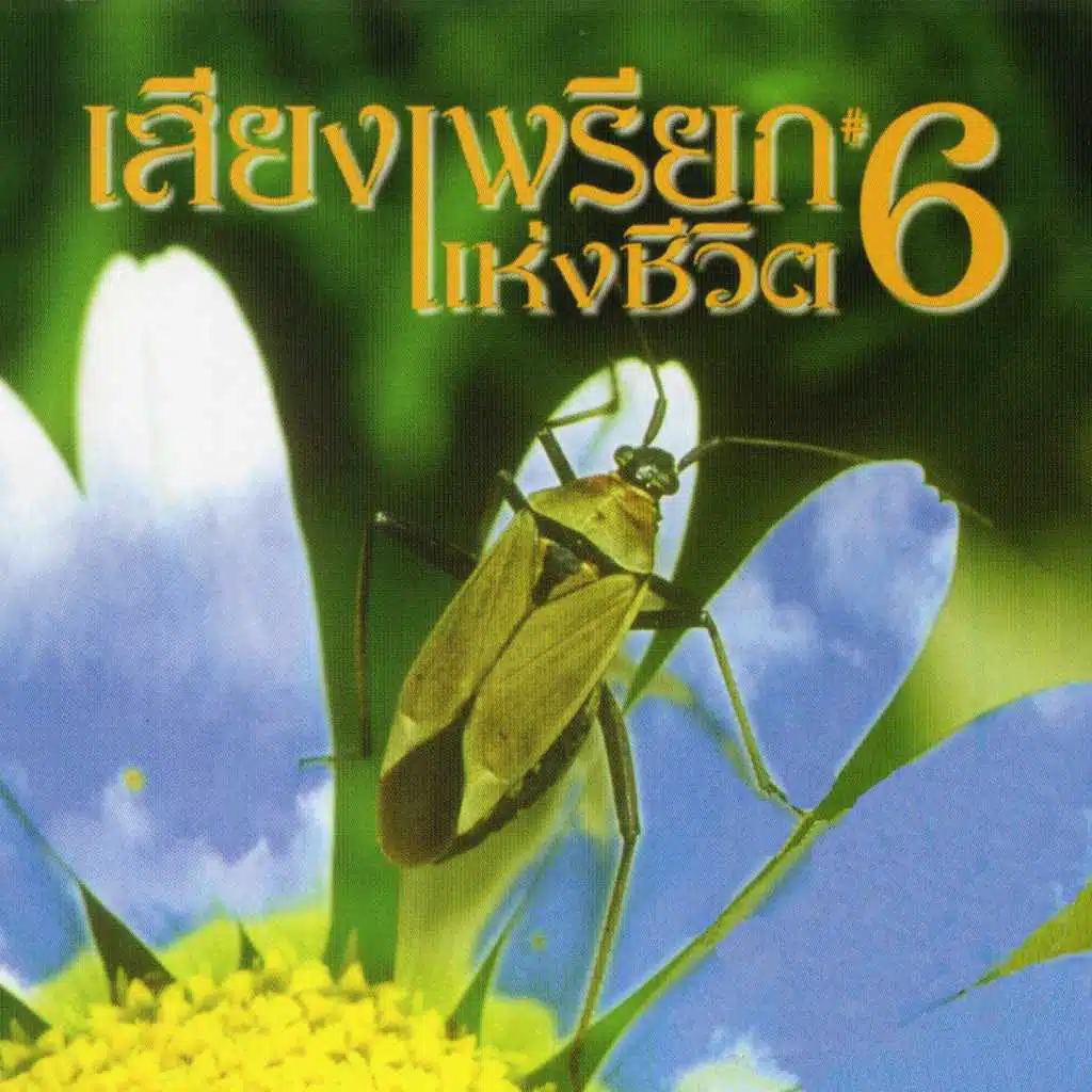 เสียงเพรียกแห่งชีวิต, Vol. 6