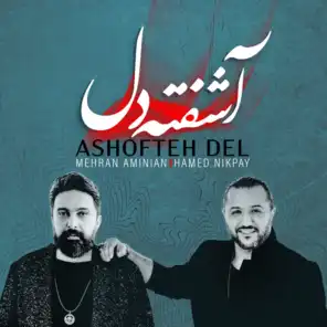 Ashofteh Del - Single