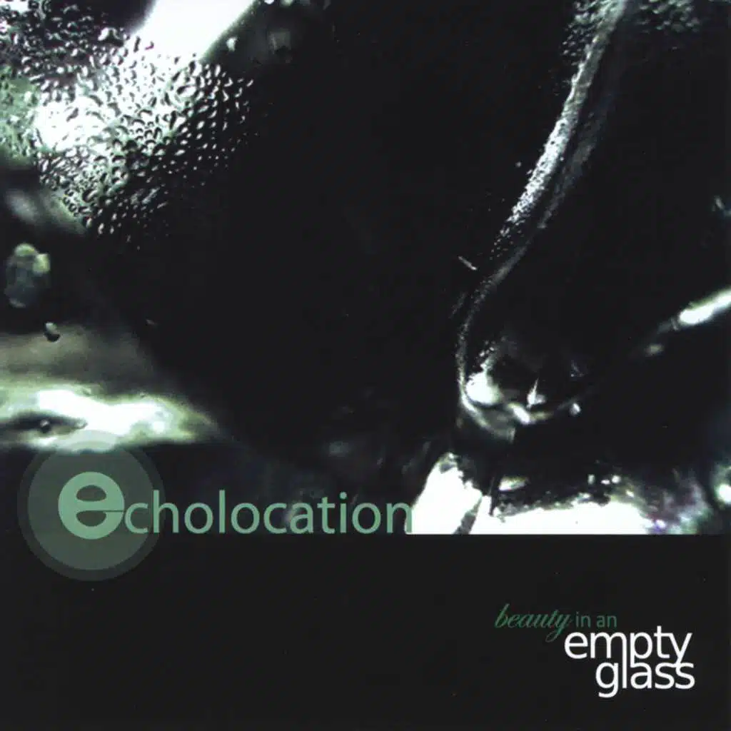 Beauty in an Empty Glass