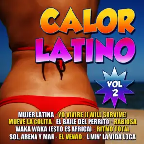 Calor Latino Vol.2