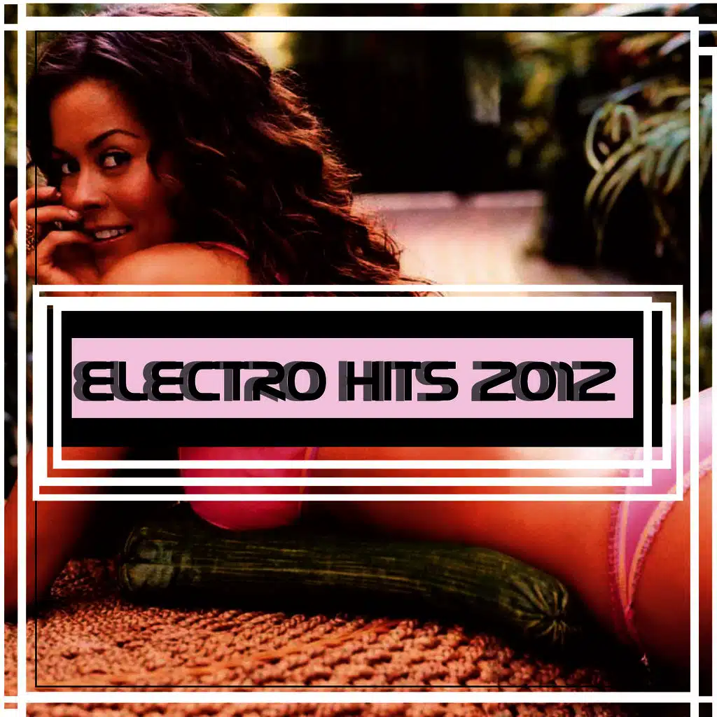 Electro Hits 2012