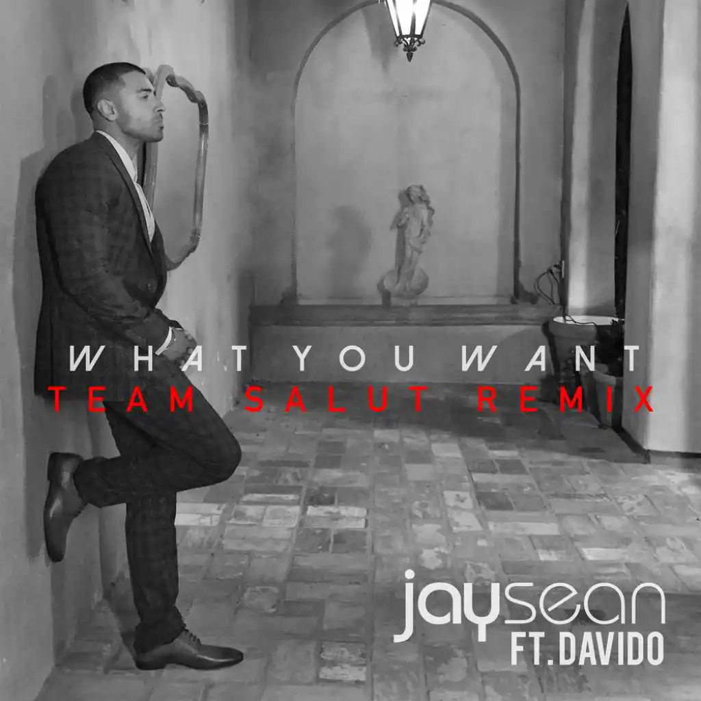 What You Want (Team Salut Remix)