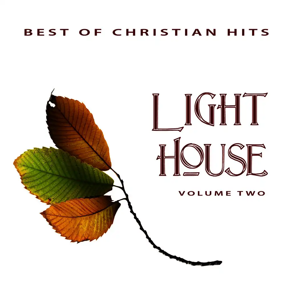 Best of Christian Hits: Light House, Vol. 2