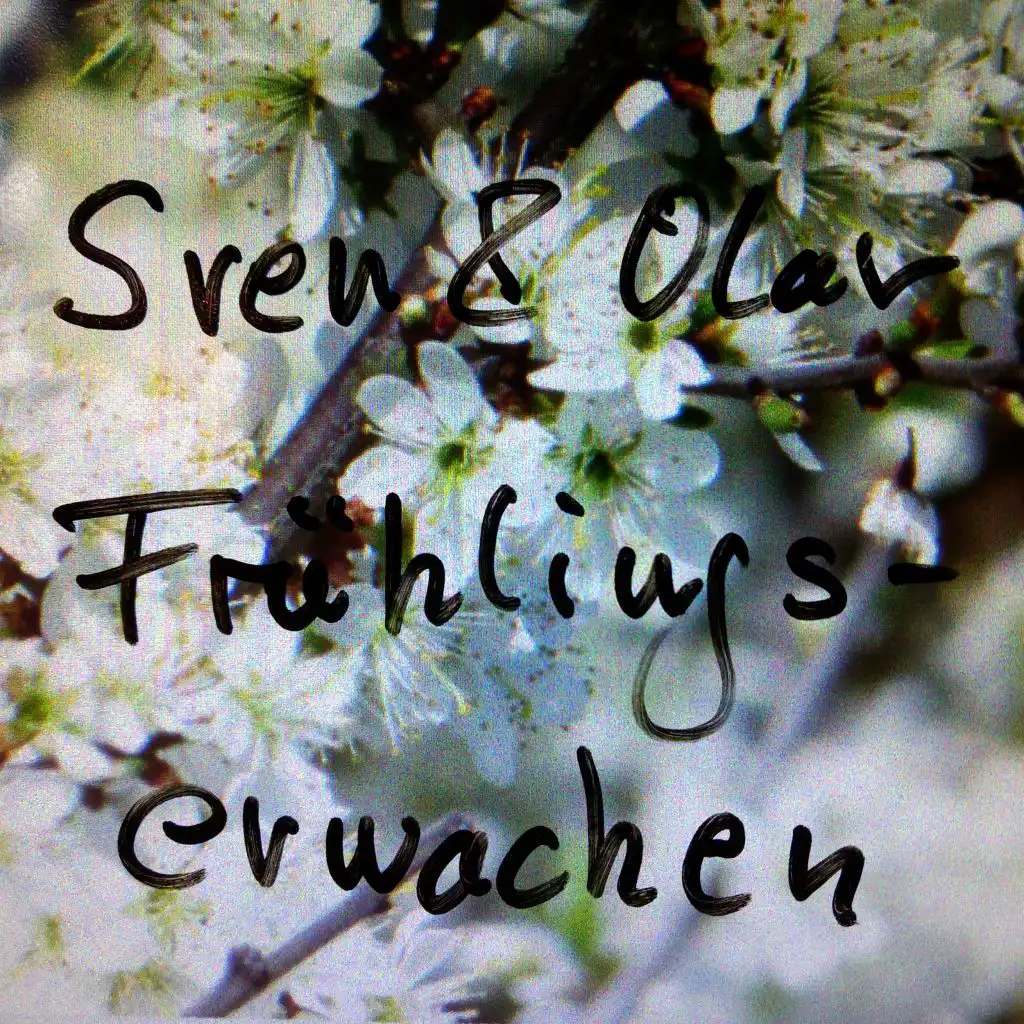 Frühlingserwachen (Single Mix)