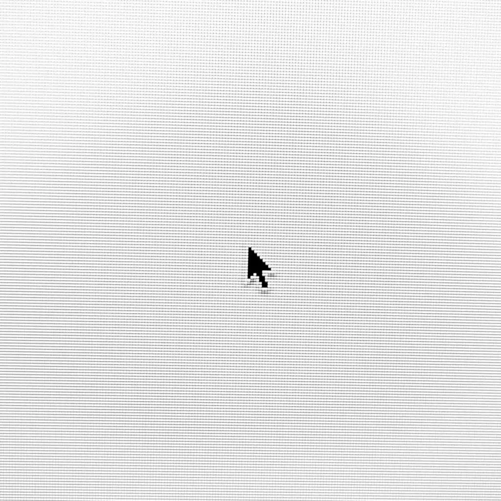 Yin, or a Documentation of an Extreme