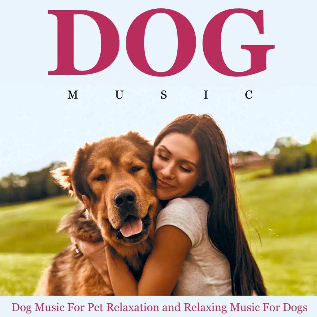 Background Music for Dogs