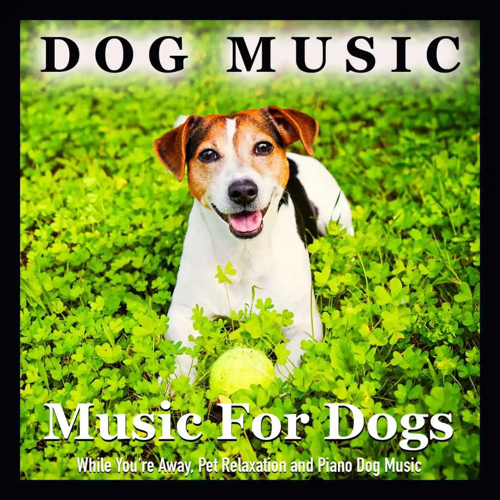 Dog Music (Pet Relaxation)