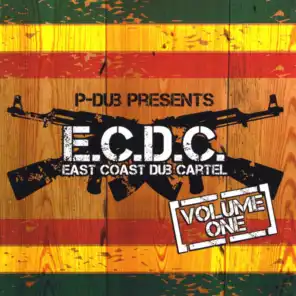 P-Dub presents East Coast Dub Cartel, Vol. 1