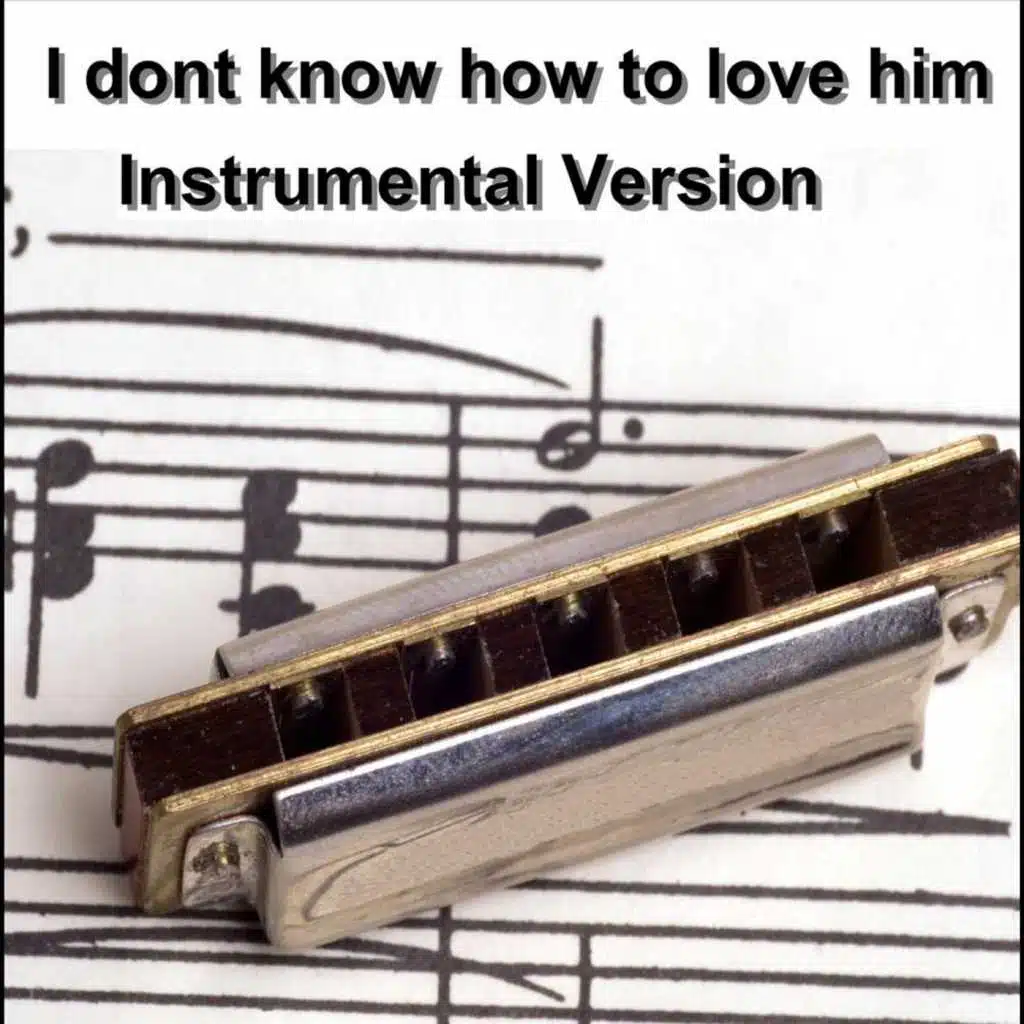 I Dont Know How To Love Him (instrumental) - Single