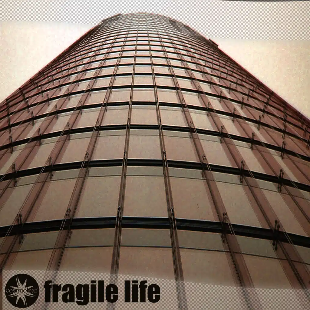 Fragile Life