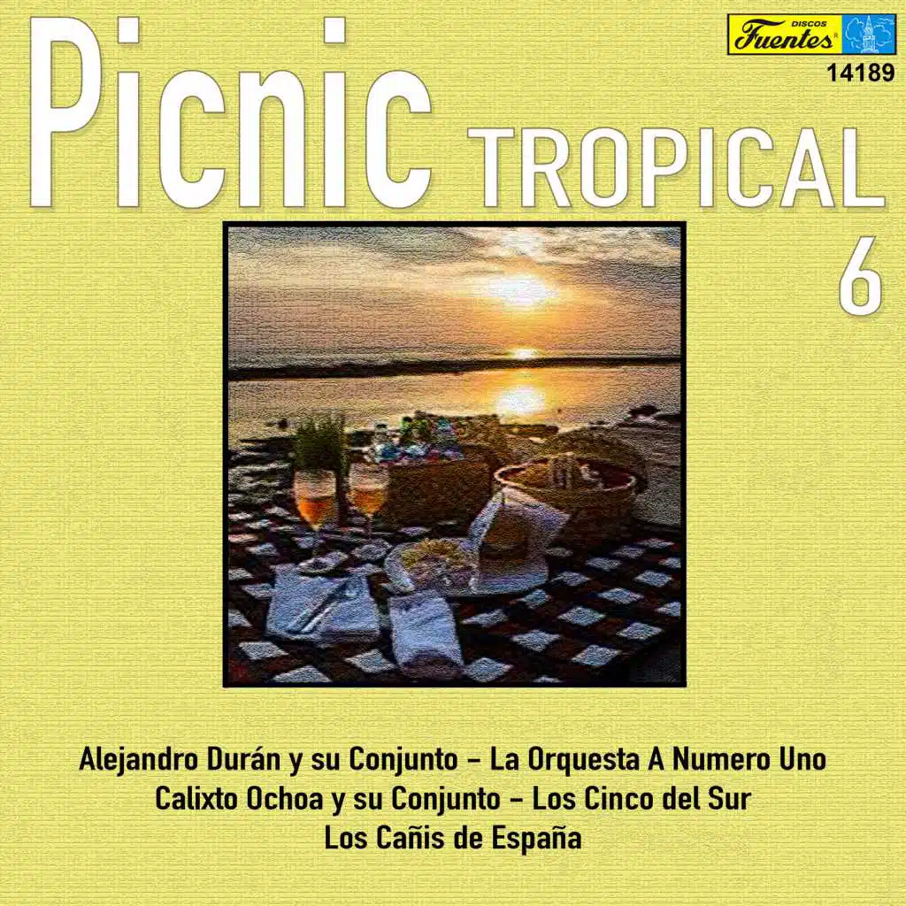 Picnic Tropical 6