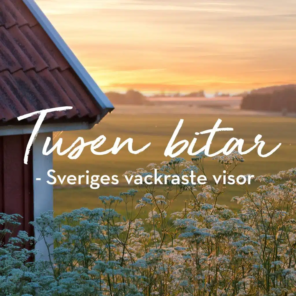 Tusen bitar: Sveriges vackraste visor