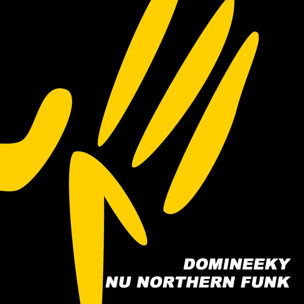 Nu Northern Funk (Domineeky Afro Dub)