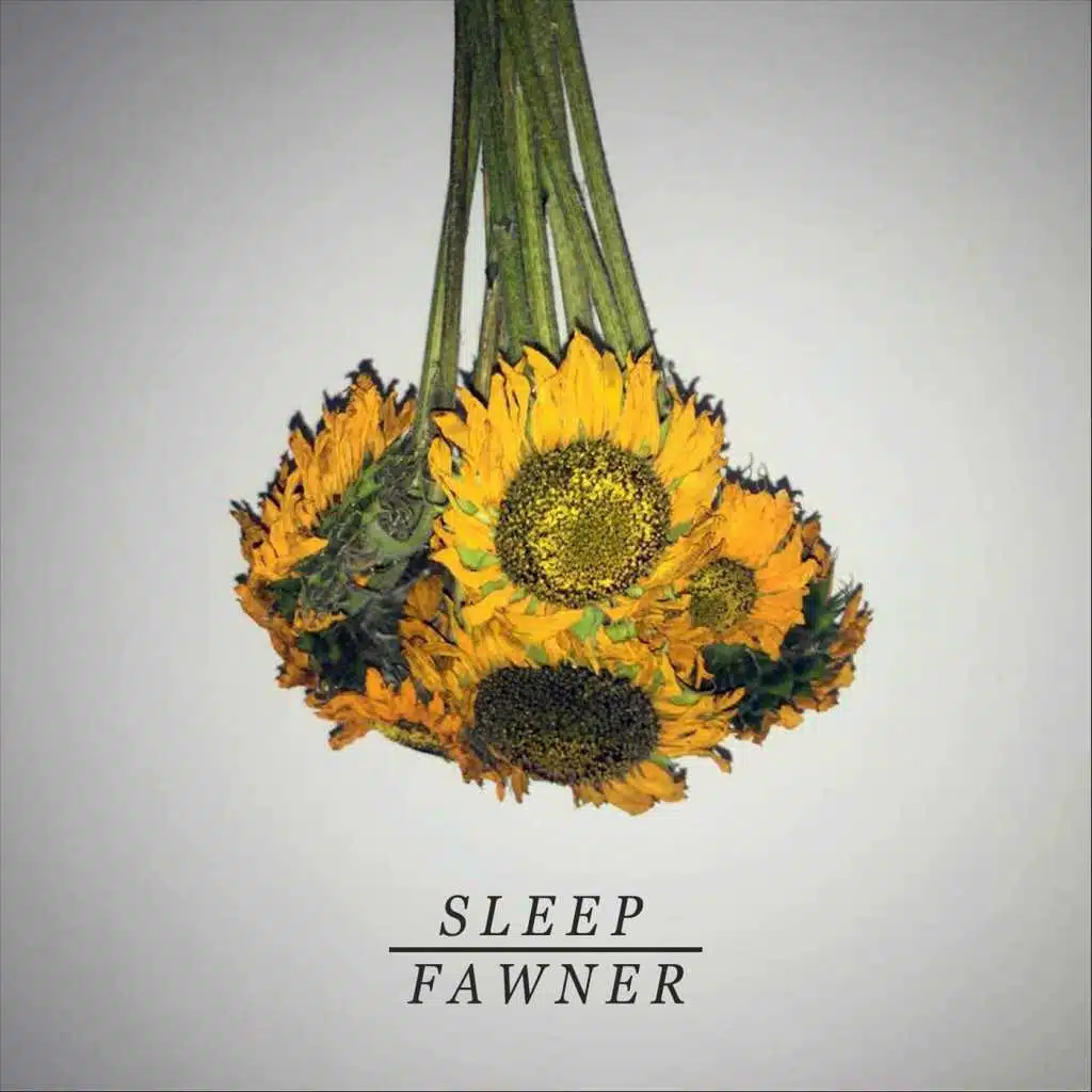 Sleep