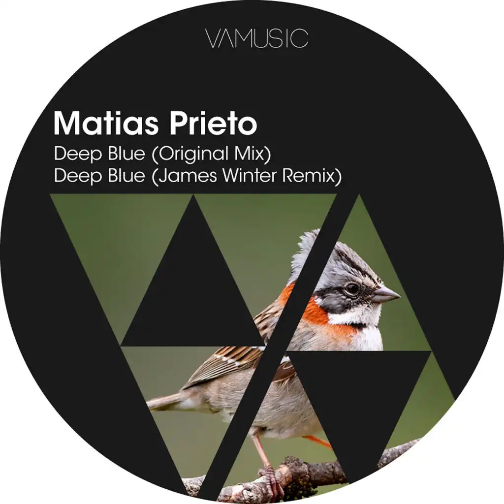 Deep Blue (James Winter Remix)