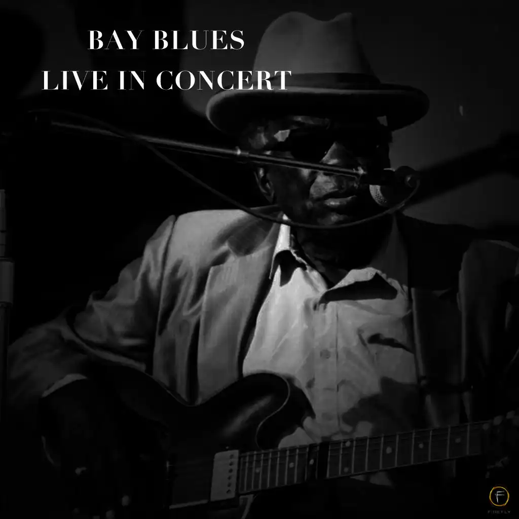 Bay Blues Live in Concert