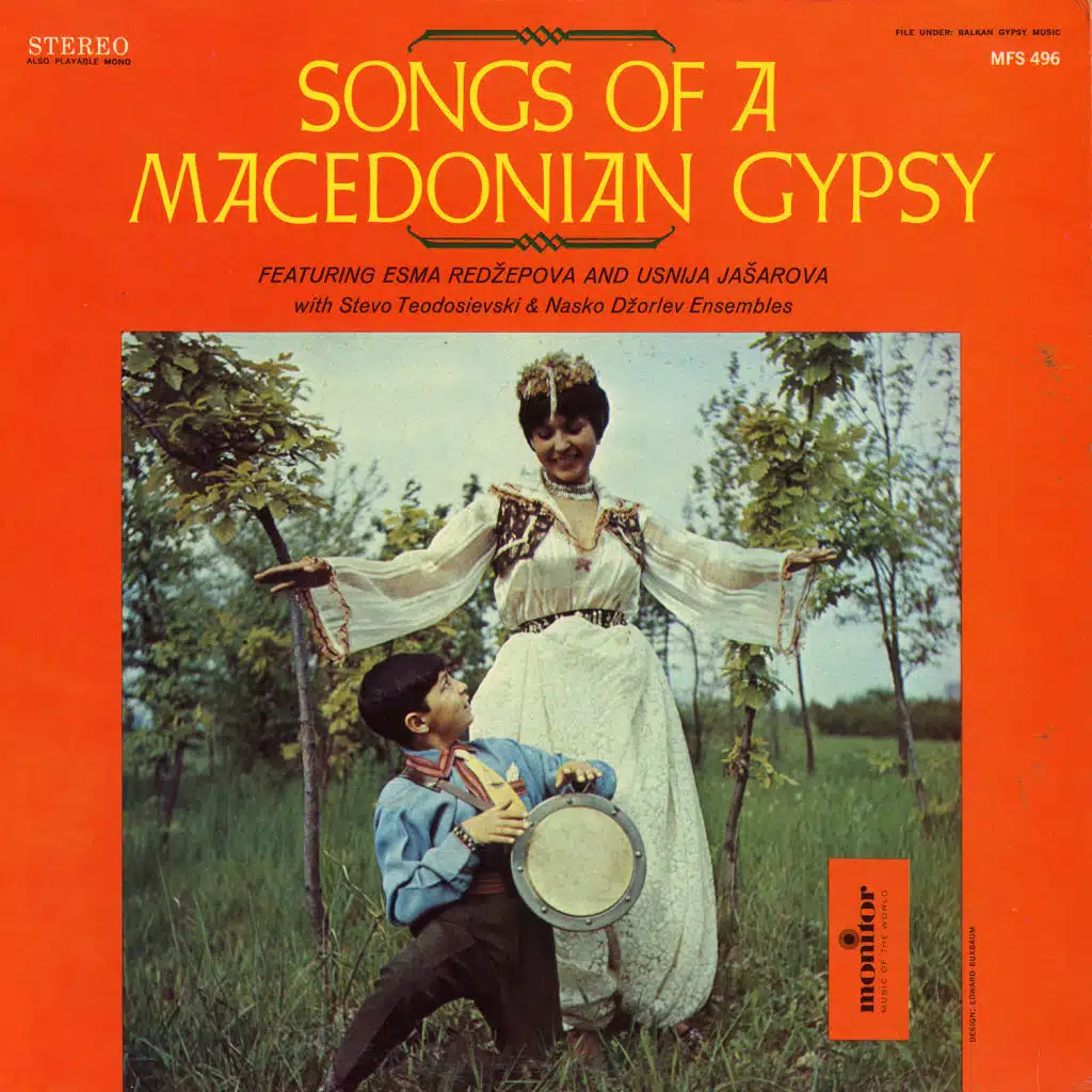 Little Gypsy Girl (Meda Sijum Ternori) [feat. Ansambl Teodosievski]