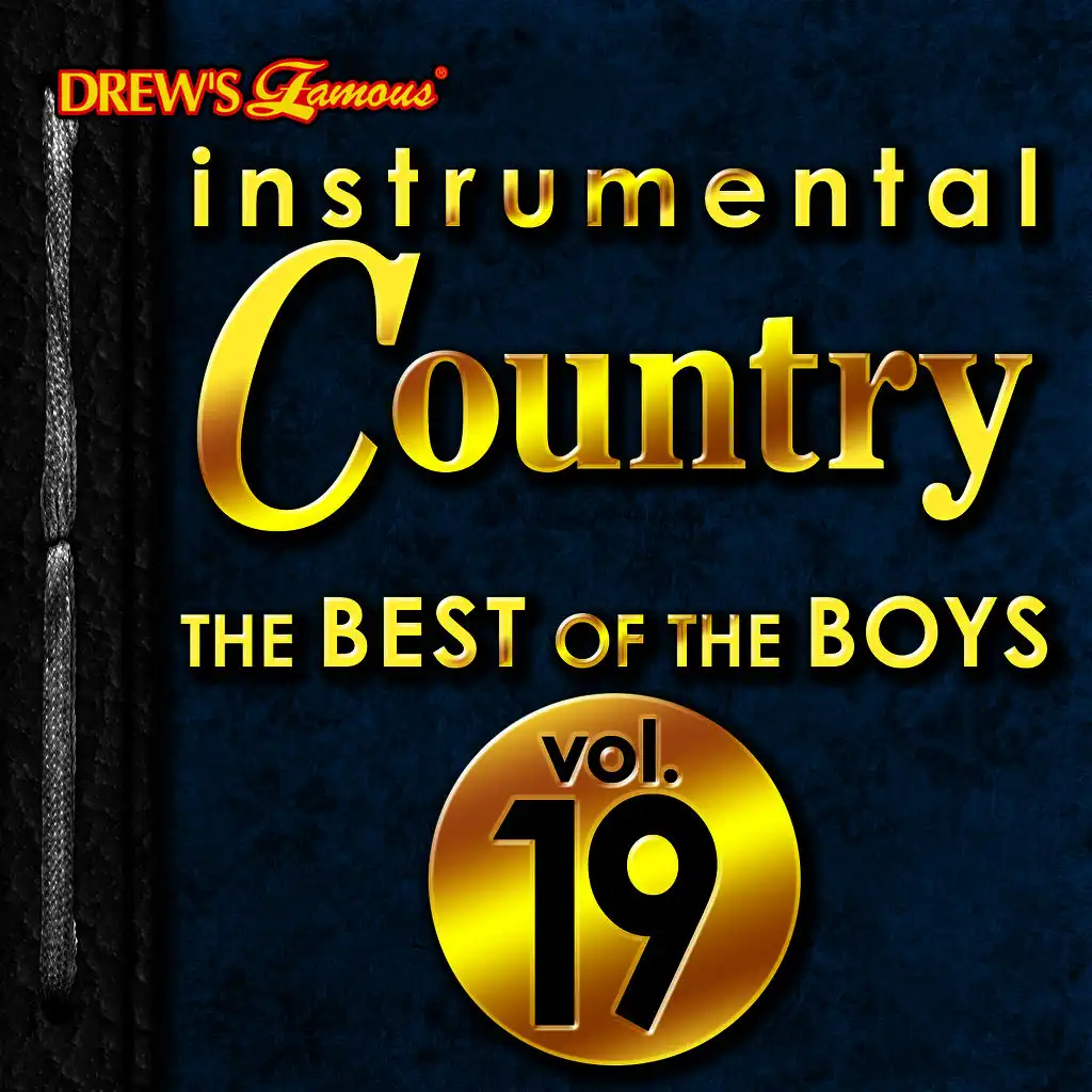 Instrumental Country: The Best of the Boys, Vol. 19