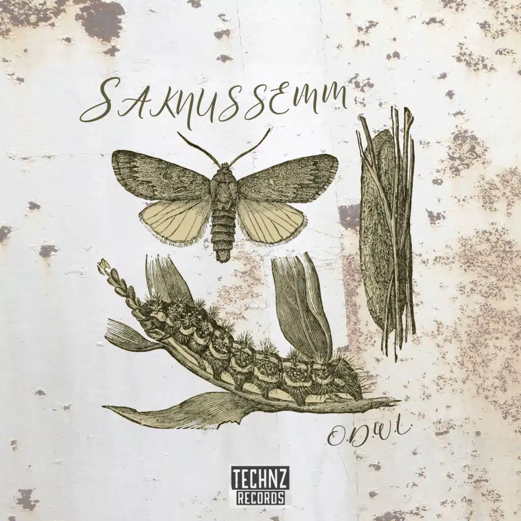 Saknussemm (Assuc Remix)