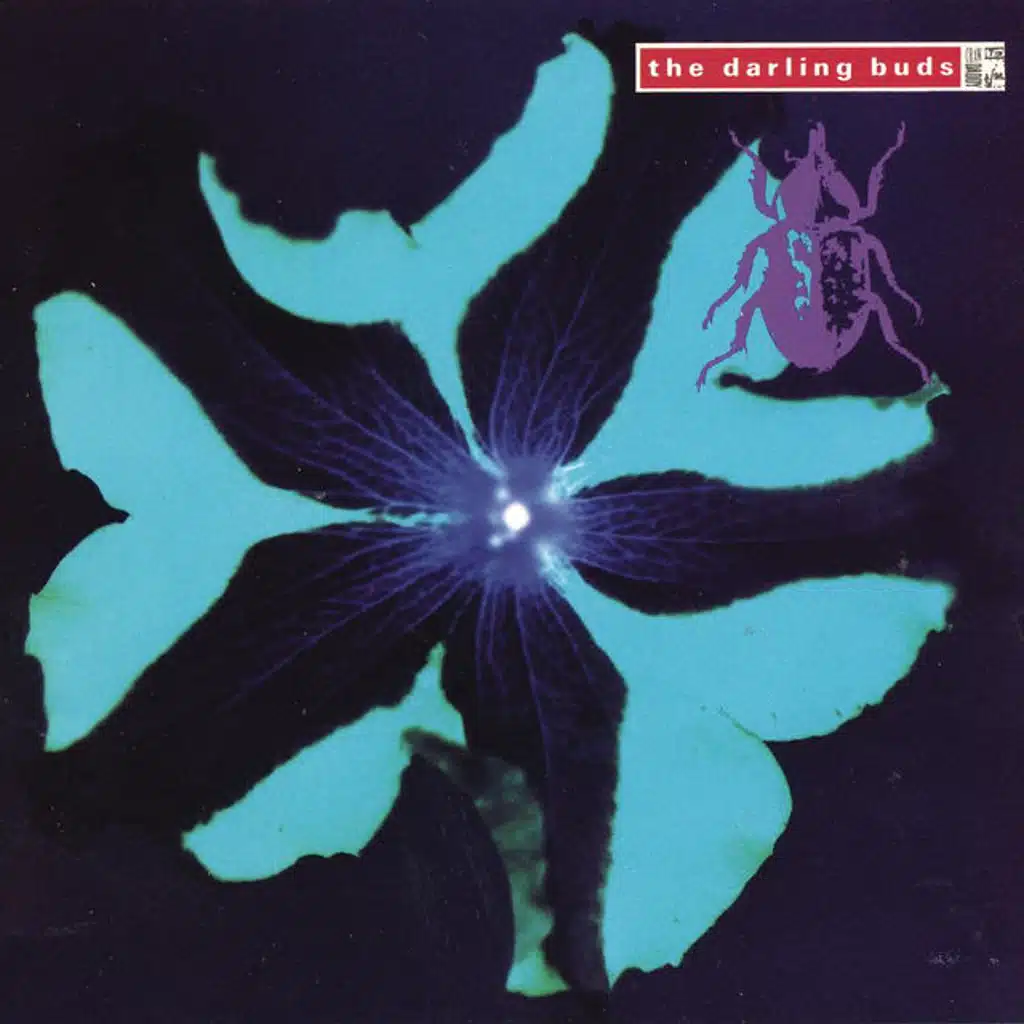 A Little Bit Of Heaven (LP Version)