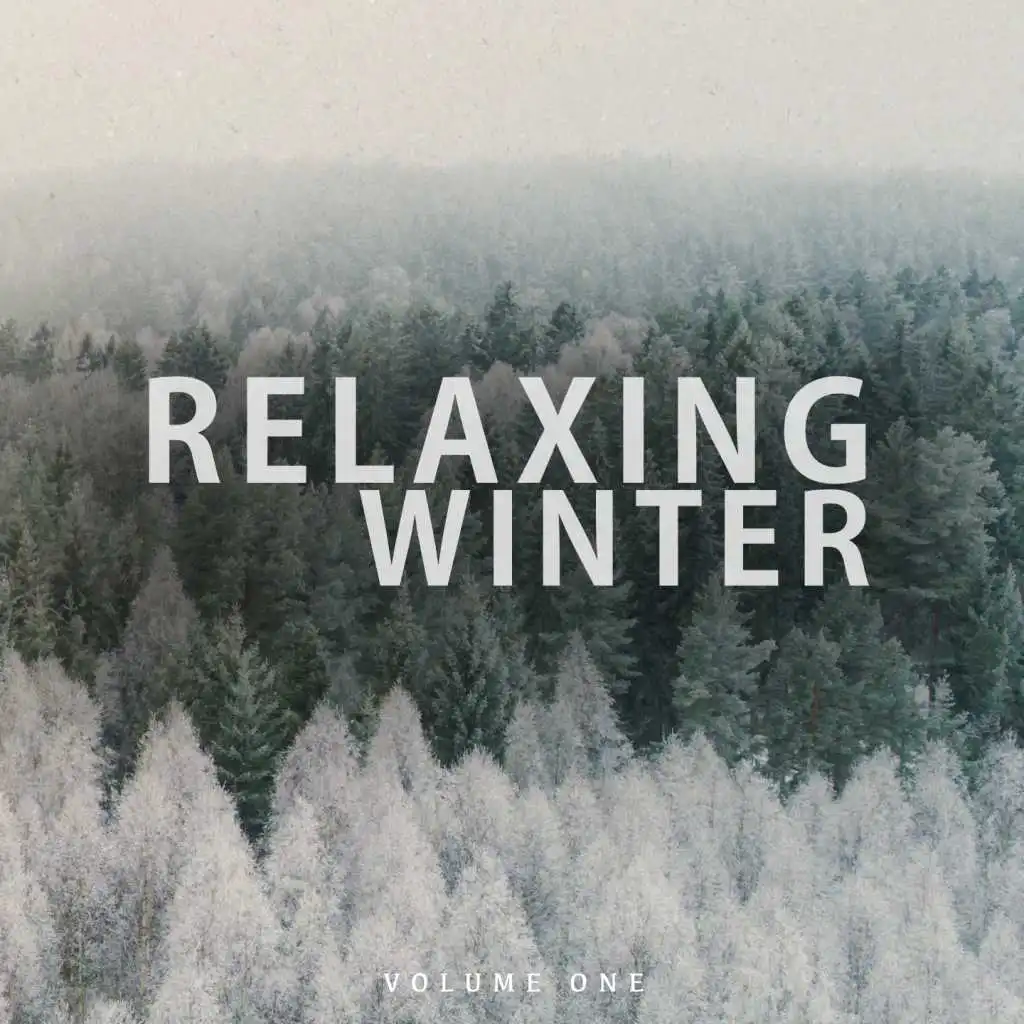 Relaxing Winter, Vol. 1 (Wonderful Calm & Chilled Electronic Music)