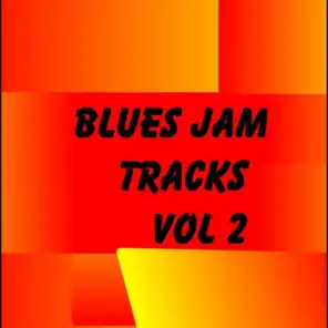 Blues Jam Tracks, Vol. 2