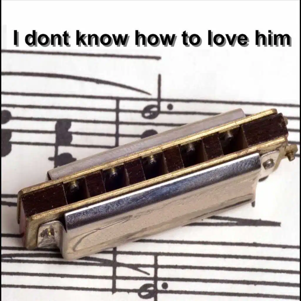 I Dont Know How To Love Him - Single