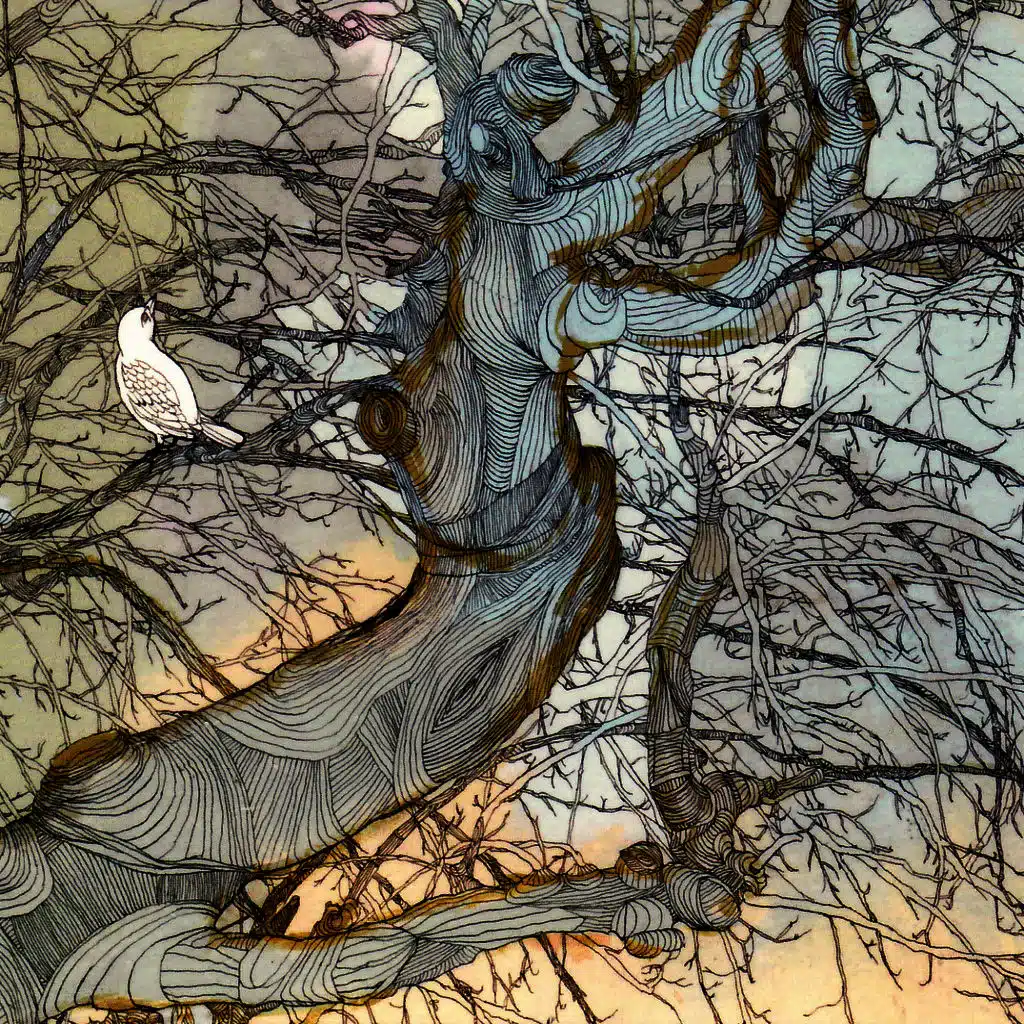 The Summer Storm Journals