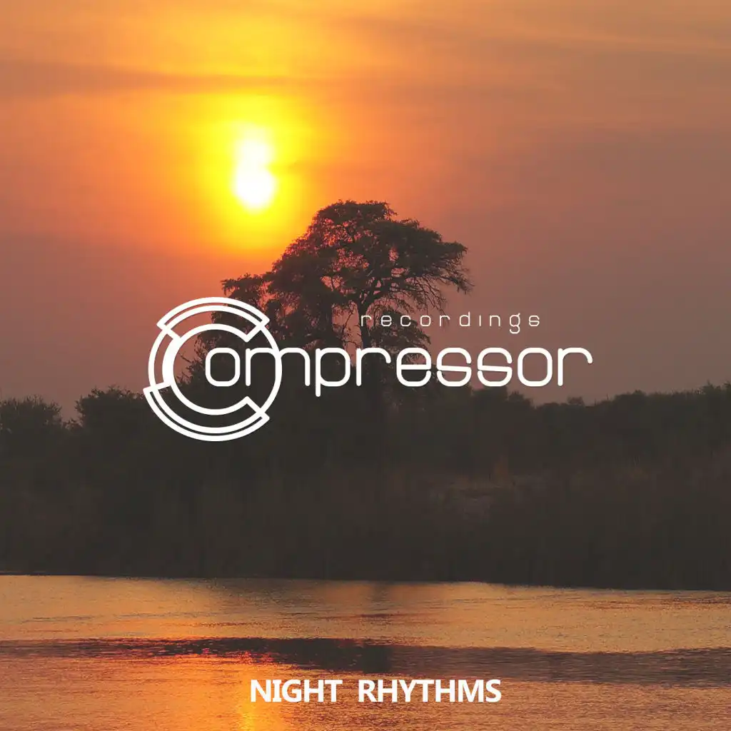 Night Rhythms (Dub Mix)