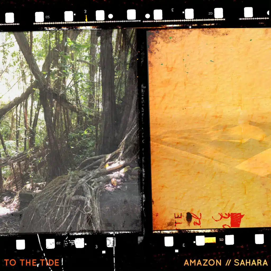 Amazon // Sahara