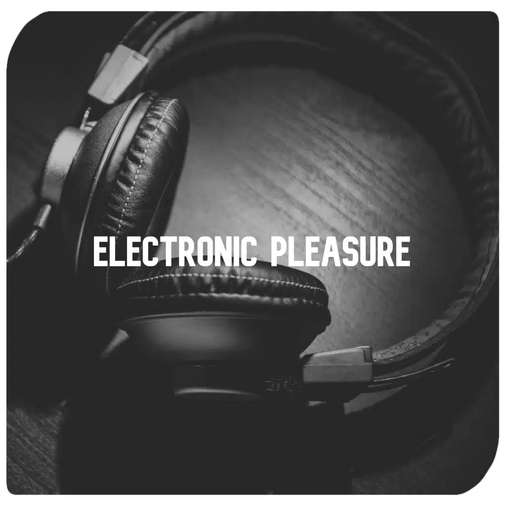 Electronic Pleasure