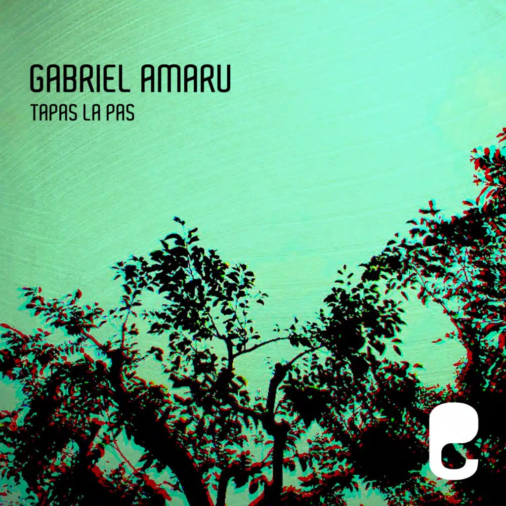Gabriel Amaru