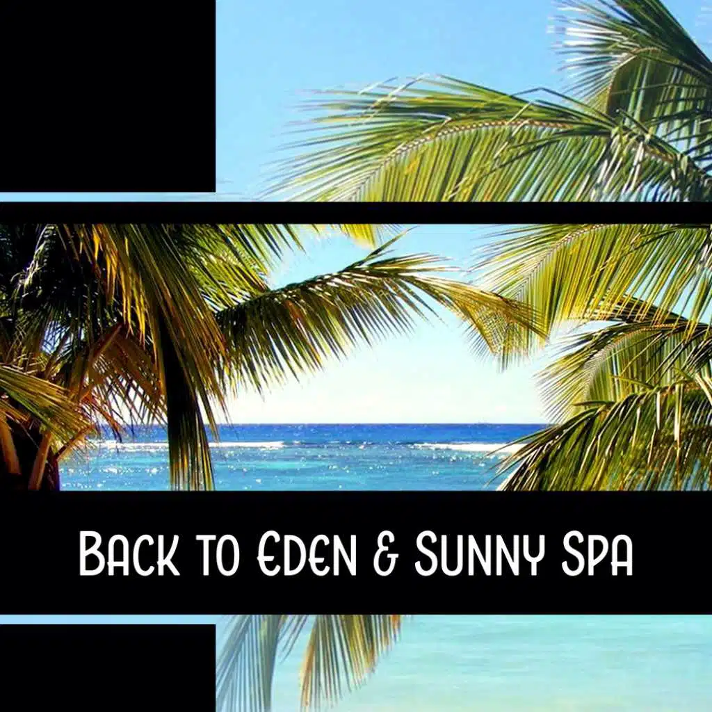 Back to Eden & Sunny Spa
