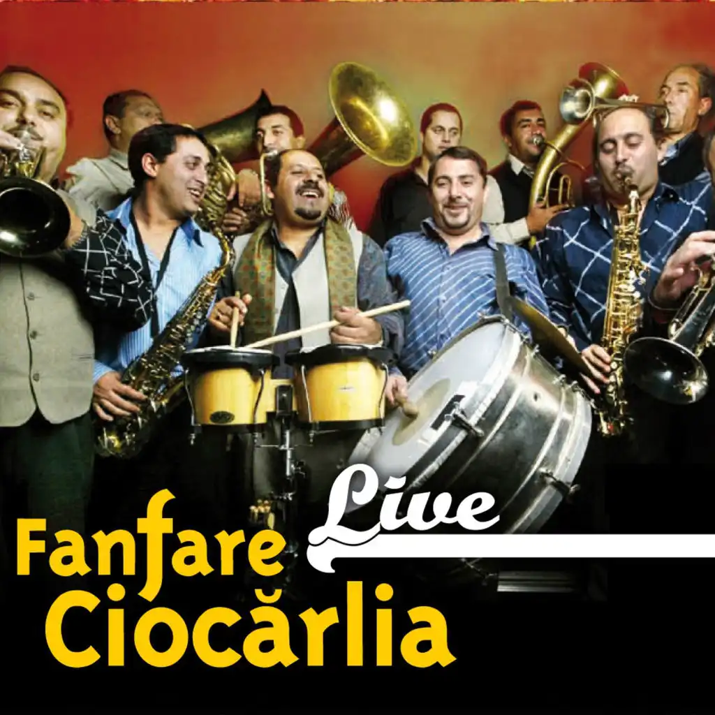 Ciocarlia (Live)