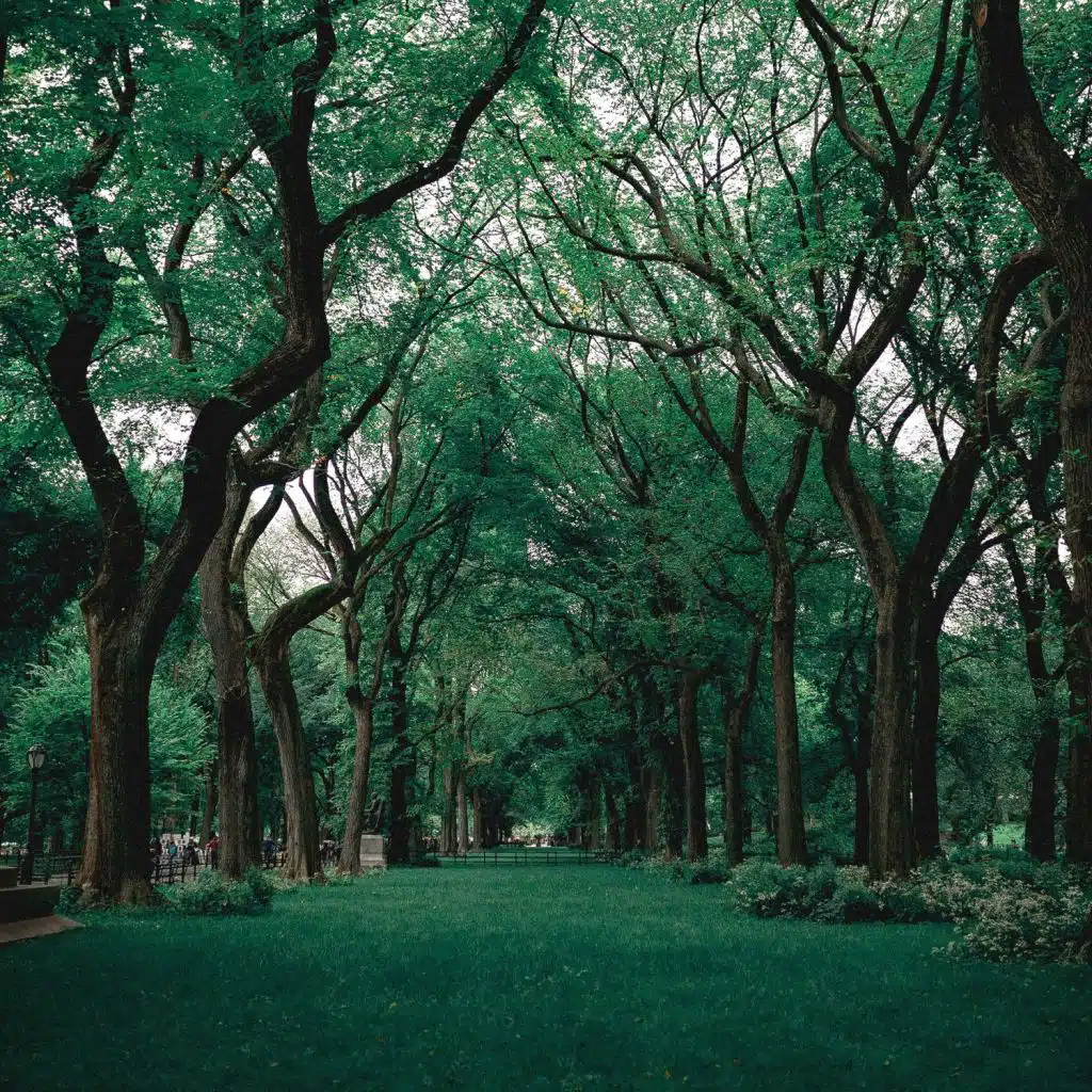 #1 Brown Noise for Sleep