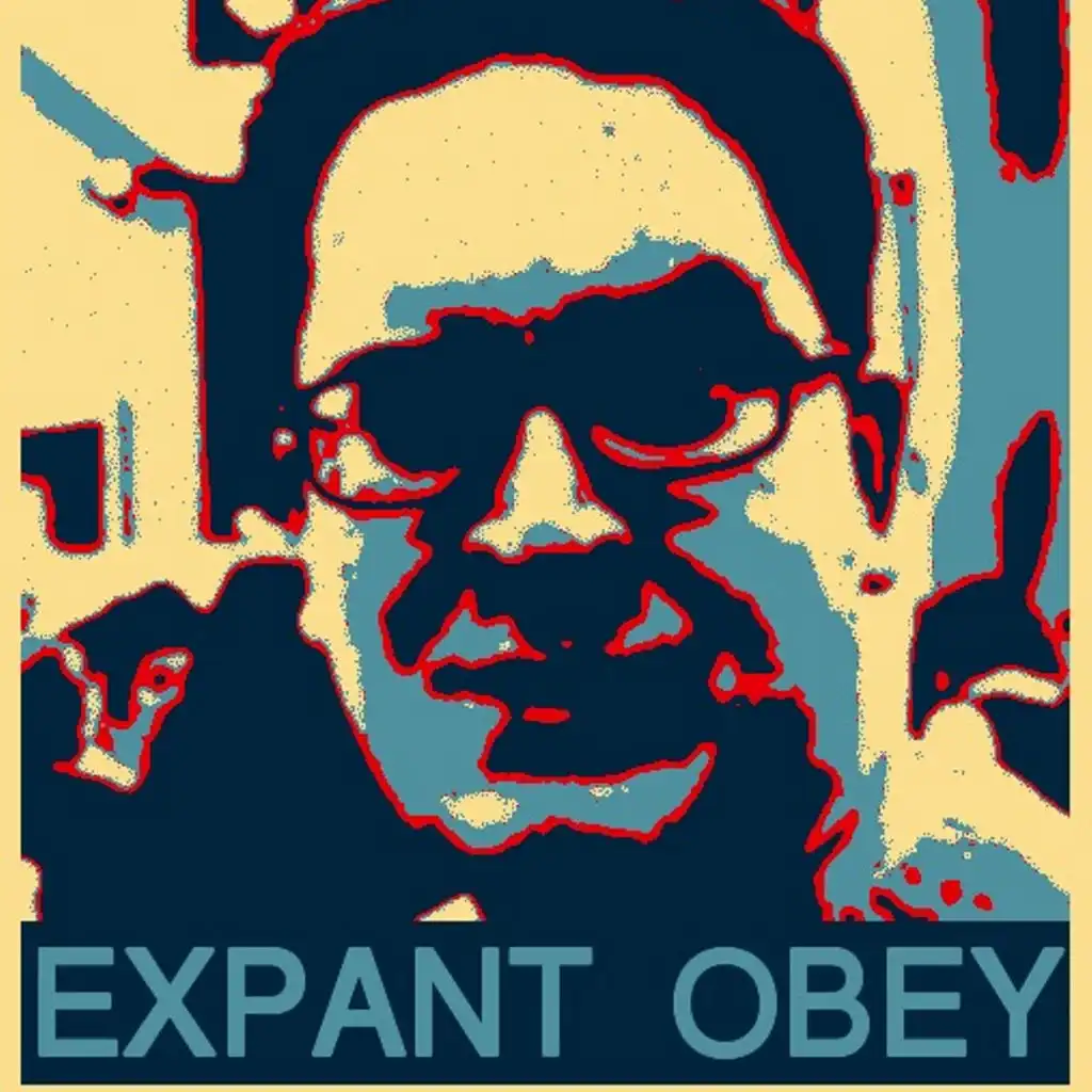 Obey (Night Vision Project Remix)