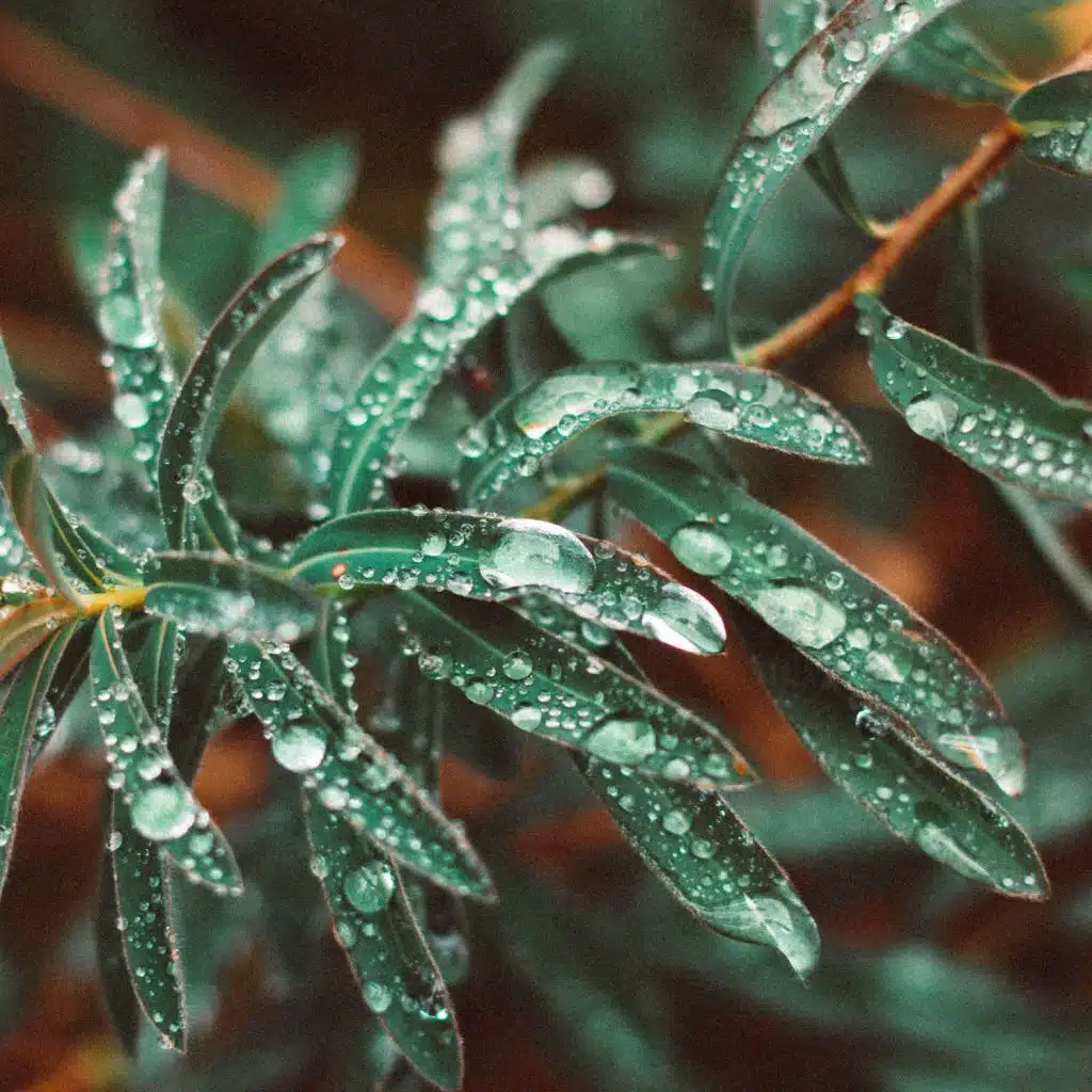 Rain Sound Baby Sleep