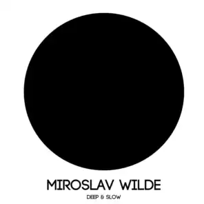 Miroslav Wilde