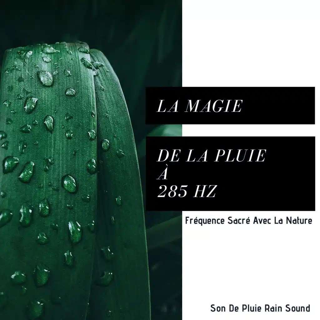 Son De Pluie Et De Vent (Son De Pluie Magique)