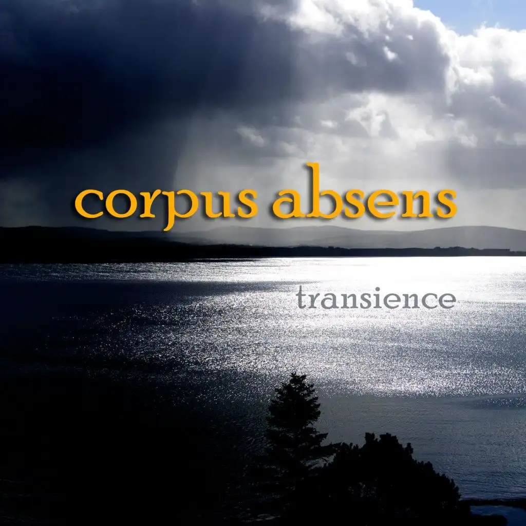 Transience